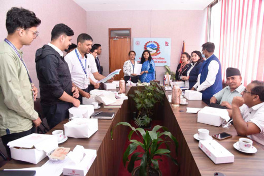 काठमाडौं महानगर भित्र रङ्गीचङ्गी बत्तीको प्रयोग हटाउन अध्ययन कार्यदलको सिफारिस