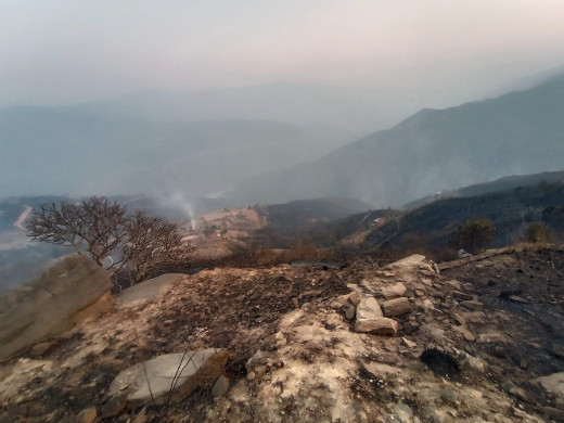 डढेलो नियन्त्रण नगर्ने सामुदायिक वनको सुविधा रोकियो