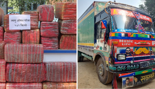 ५४२ किलो गाँजासहित चितवनबाट २ जना पक्राउ