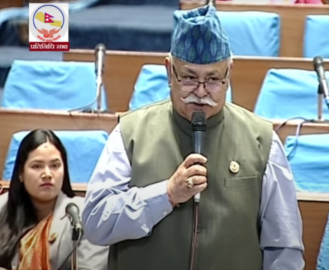 सांसद सिंहको प्रश्न—शहीदहरुलाई १० लाख रुपैंयाँ दिनु ब्रम्हलुट भएन र ? 