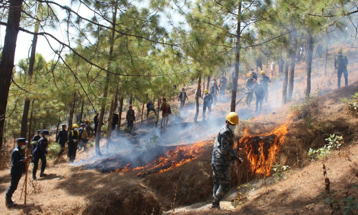 यो वर्ष कम पानी परेकाले डढेलोको जोखिम धेरै, सचेत रहन आह्वान