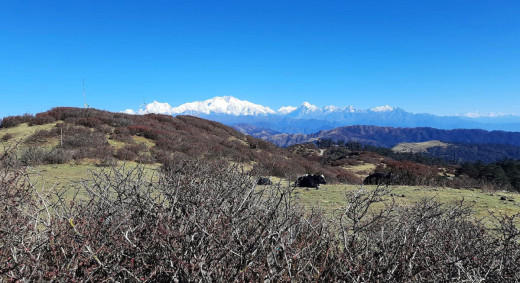 शुक्रबारको मौसम : पहाडी भू-भागमा हल्का वर्षा र हिमपातको सम्भावना