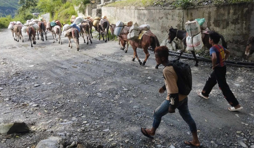 गाउँमा मोटर पुग्यो, खच्चडले सामान बोक्न रोकिएन