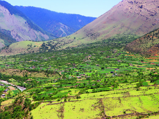  सास्तीमा छन् निसेलढोरबासी