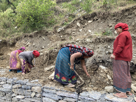 एकल महिलालाई स्वरोजगार बनाउन वडाको सक्रियता