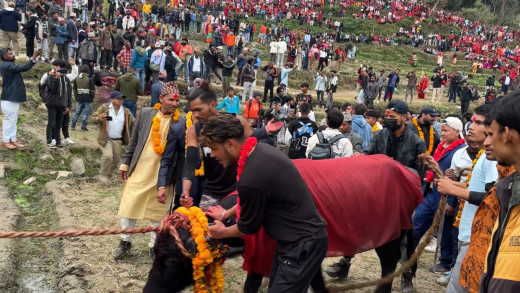 पशुलाई दौडाउँदै बली दिने डौठेगडाको मेला