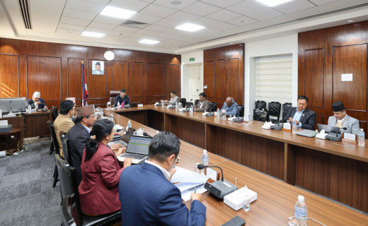 सैनिक विशेष अदालतको अध्यक्षमा पौडेल