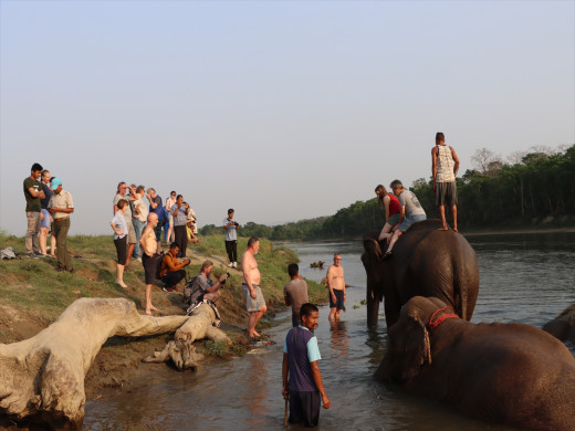 विदेशी पर्यटकको रोजाइ चितवनको पटिहानी