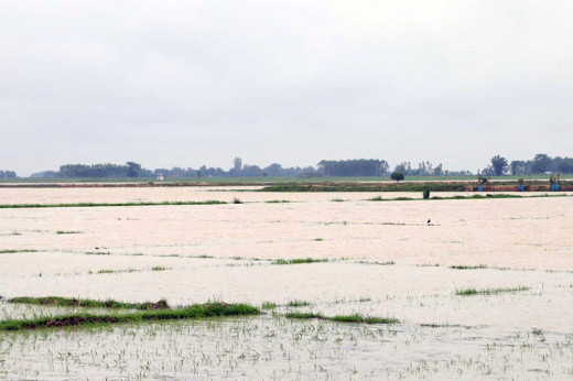 भारतले बनाएको बाँधका कारण ३ सय बिघा खेतीयोग्य जमिन डुब्यो