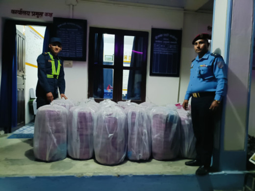 तरकारी बोक्ने मिनिट्रकबाट ५४४ केजी गाँजा बरामद