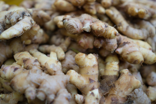 तनहुँको घिरिङ गाउँपालिकाका कृषक अदुवाखेतीतर्फ आकर्षित