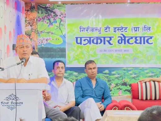  गिरीबन्धु टी–स्टेट जग्गा प्रकरणः विवादबारे ७ बुँदामा चिरफार 