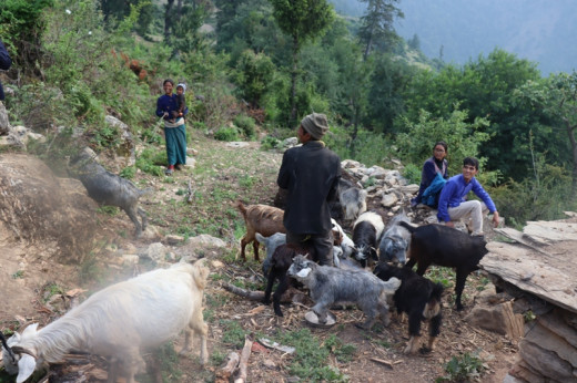 हरिदेवीलाई आफ्नै गाउँघर विदेश बन्यो, भन्छिन् — देशमै मनग्ये अवसर छ