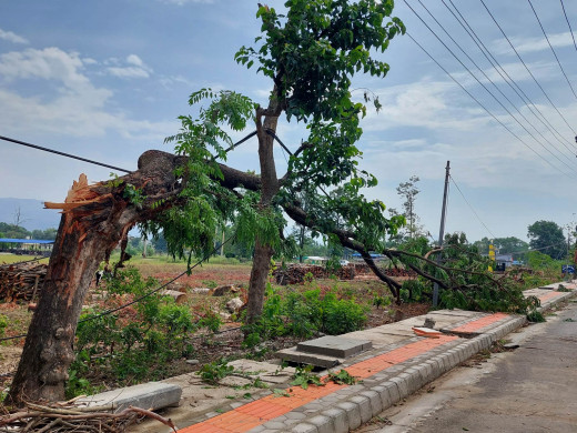 झापामा हुरीबतासले करोडौँको क्षति