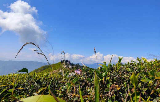 पहाडी भूभागमा हल्का वर्षा, उच्च पहाडी तथा हिमाली भूभागमा हिमपातको सम्भावना