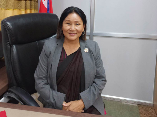 अन्तर्राष्ट्रिय मञ्चमा नेपालको प्रतिनिधित्व प्रभावकारी तुल्याउनुपर्छ : उपसभामुख