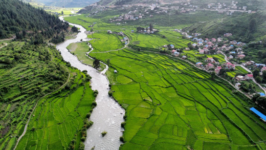 ३ प्रदेशमा हल्का पानी पर्दै, कर्णालीमा भारी वर्षा हुने अनुमान