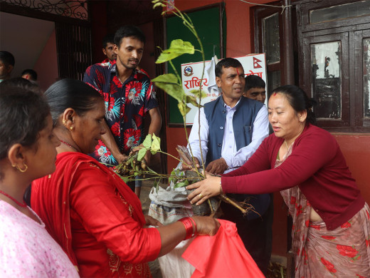 रामपुरका किसानलाई घाँसका बिरुवा वितरण