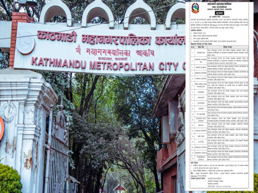१९ विषय विज्ञ खोज्दै काठमाडौं महानगर