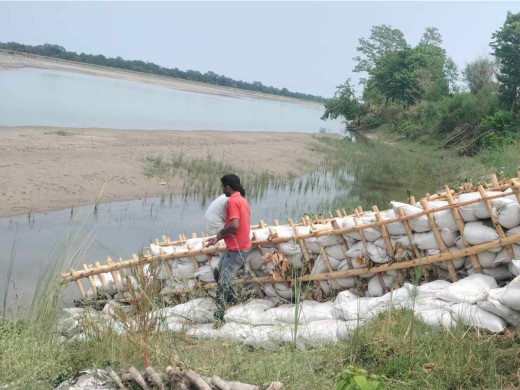 महाकालीको कटान रोक्न कुतियाकबरमा जैविक तटबन्ध