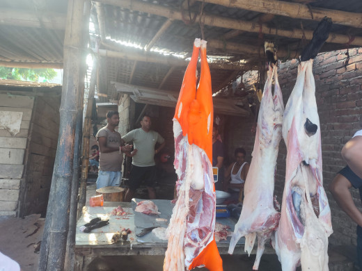 चिसो बढेसँगै माछामासुको कारोबार बढ्यो