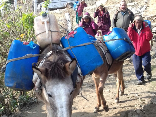 दूधको व्यवसायले फेरियो काभ्रेका किसानको जीवन 