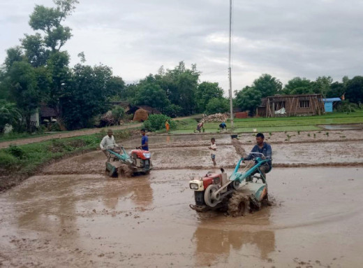 अनुदानमा किसानलाई ‘मिनीटिलर’ वितरण