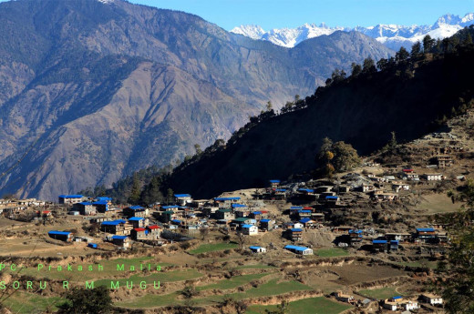मुगुको सोरुमा खाद्यान्न संकट
