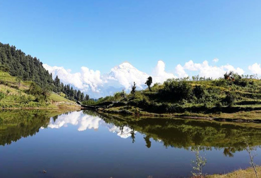 नासिँदै निस्कोट बराह तालको जैविक विविधता