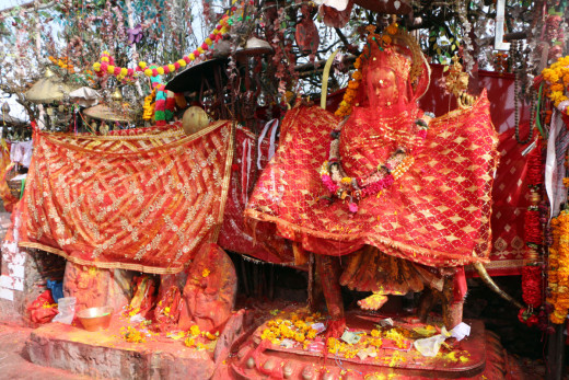 नवरात्रमा पनि सुनसान पाथीभरा, बडादसैँको पहिलो दिन जम्मा ६३ जना दर्शनार्थी पुगे