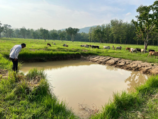 वन्यजन्तुका लागि जङ्गलमै पोखरी निर्माण