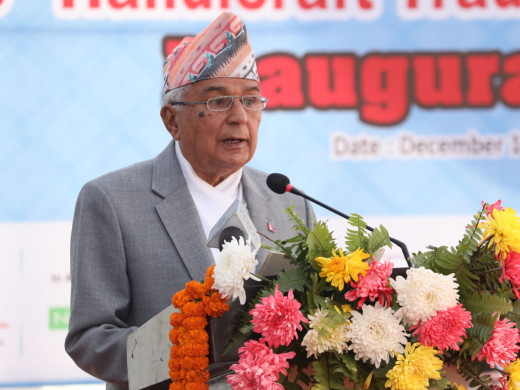 हस्तकला उद्योग व्यवसायमैत्री नीति बनाउनुपर्नेमा राष्ट्रपति पौडेलको जोड [भिडिओ]