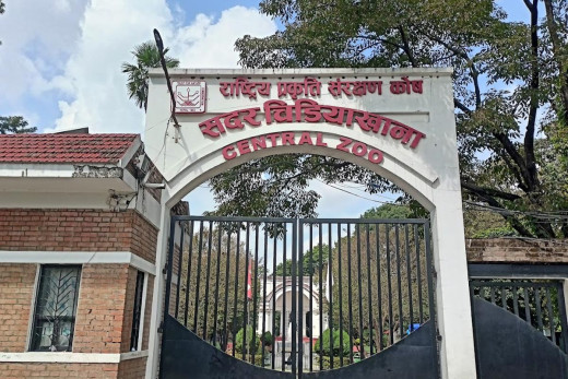 सदर चिडियाखानाको आम्दानी १७ करोड ७५ लाख