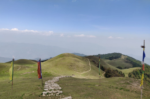 शैलुङमा चौँरीसँग जङ्गली बसाइ कार्यक्रम हुँदै
