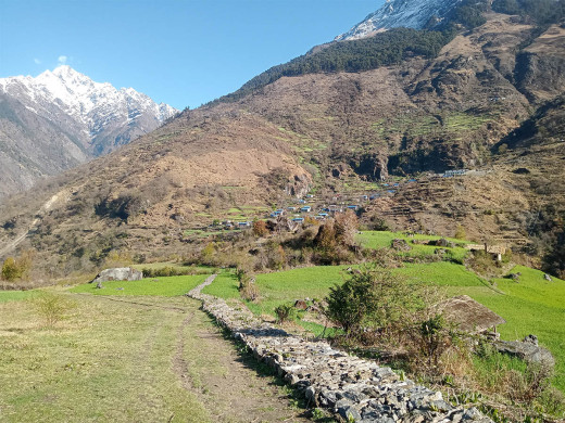 साइपालमा खाद्य सङ्कट, सिंहदरबार नधाइ पुग्दैन चामल