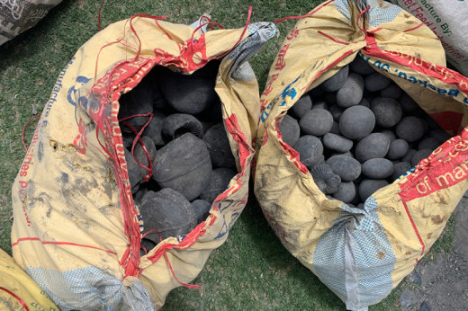 मुस्ताङबाट ३ हजार बढी शालिग्राम बरामद