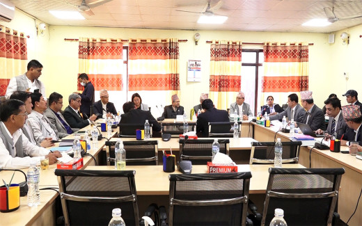 प्रस्तावित राजदूतहरूको संसदीय सुनुवाइ भदौ १६ देखि २५ सम्म