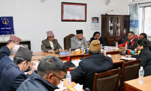 चितवनमा बालिका मृत्युबारे गम्भीर छानबिन गर्न संसदीय समितिको निर्देशन