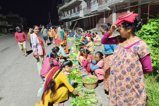 अकासियो हरियो तरकारीको मूल्य