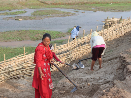 भूक्षय नियन्त्रणमा जैविक तटबन्ध प्रभावकारी