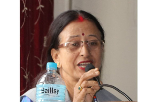 अल्पमतमा परेका सुदूरपश्चिम प्रदेशका मुख्यमन्त्री सोडारीले गरे मन्त्री थापालाई बर्खास्त