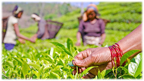 उद्योग परिसंघले भन्यो : श्रमिकको तलब वृद्धि गर्न सकिँदैन
