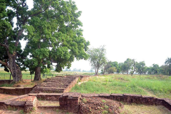 'शिशु बुद्ध'लाई लुम्बिनीबाट तिलौराकोट लगियो