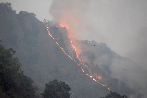 विकराल बन्दै वन डढेलो, देशभर १६५ ठाउँमा आगलागी