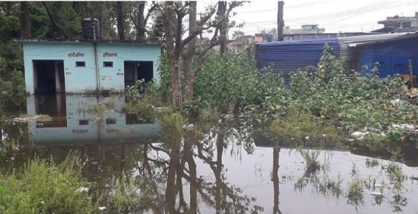 कञ्चनपुरको कलुवापुर बजार डुबानमा
