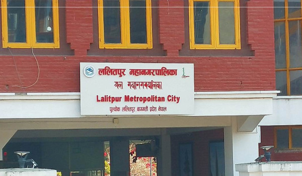 ललितपुरमा ‘अफ्रिकन स्वाइन फिभर’ संक्रमण पुष्टि, सचेत रहन आग्रह