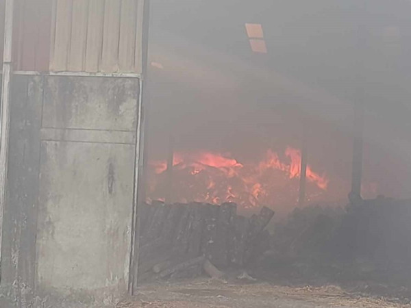 अझै नियन्त्रणमा आएन प्लाइउड उद्योगमा लागेको आगो, १२ घण्टा देखि सिंगो गाउँ त्रस्त