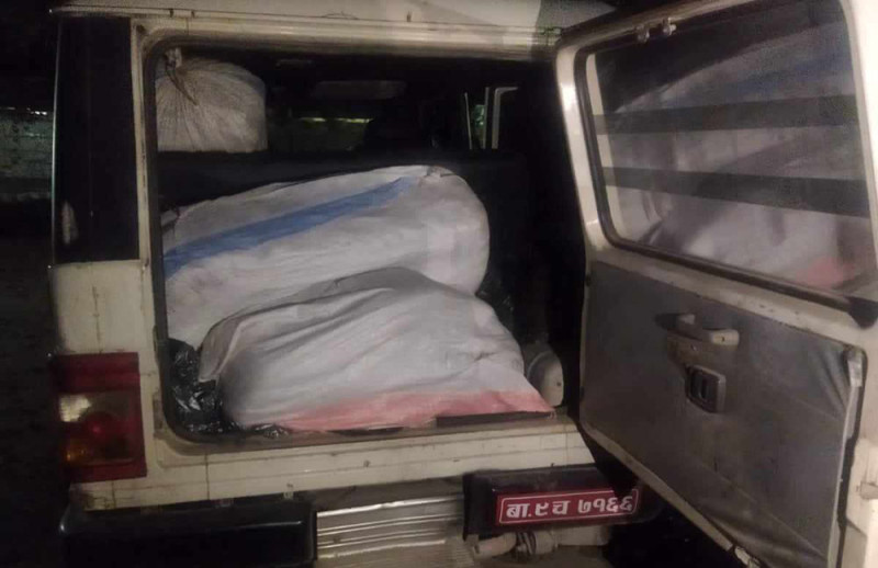 सुनसरीबाट ४८० केजी गाँजा बरामद