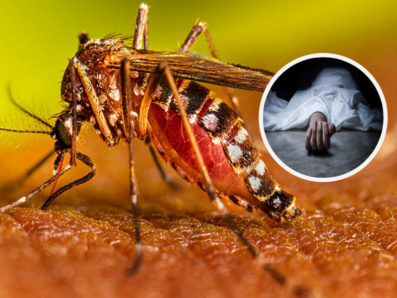 २ महिनामा जापानी इन्सेफ्लाइटिसबाट ९ जनाको मृत्यु, यस्ता हुन्छन् शङ्कास्पद लक्षण