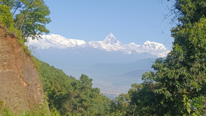 मौसम खुलेसँगै देखिएको माछापुच्छ्रे